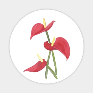 Anthurium, floral watercolor painting Magnet